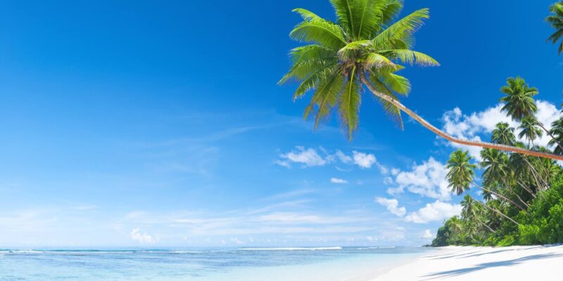 Free Relaxation MP3